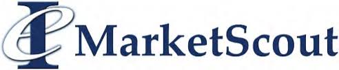 IE market scout